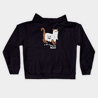 Halloween Cat is Here to Boo Kids Hoodie